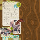Digital Scrapbook page created by cnscrap featuring "Summer Camp" by Sahlin Studio
