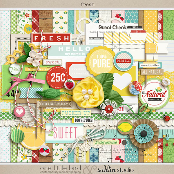 Digital Scrapbooking Kit, Vintage Scrapbook Kit, Scrapbooking Papers,  Scrapbook Elements, Vintage Style, Shabby Papers, Digital Papers, 