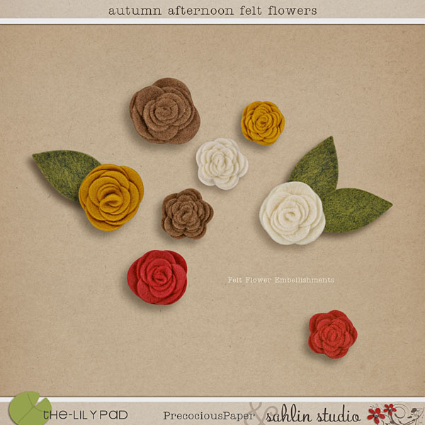 Autumn Afternoon: Felt Flowers by Precocious Paper and Sahlin Studio