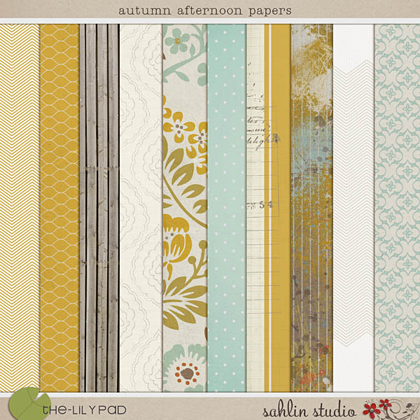 Autumn Afternoon: Papers by Precocious Paper and Sahlin Studio