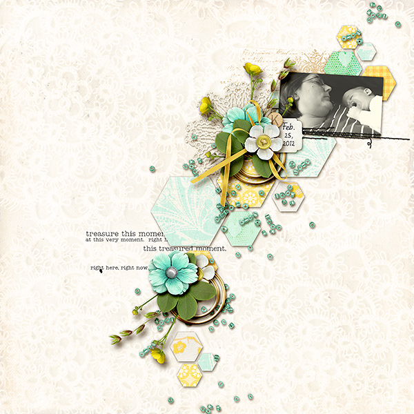 Sahlin Studio, Digital Scrapbooking DesignsJanuary Featured Kit -  Treasured Moments - Sahlin Studio