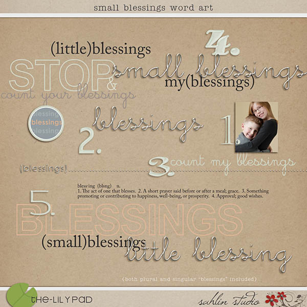 Small Blessings Word Art by Sahlin Studio