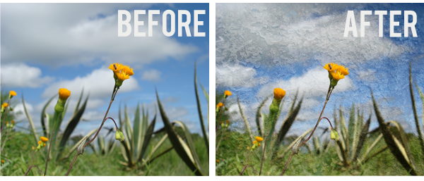 flower before after copy