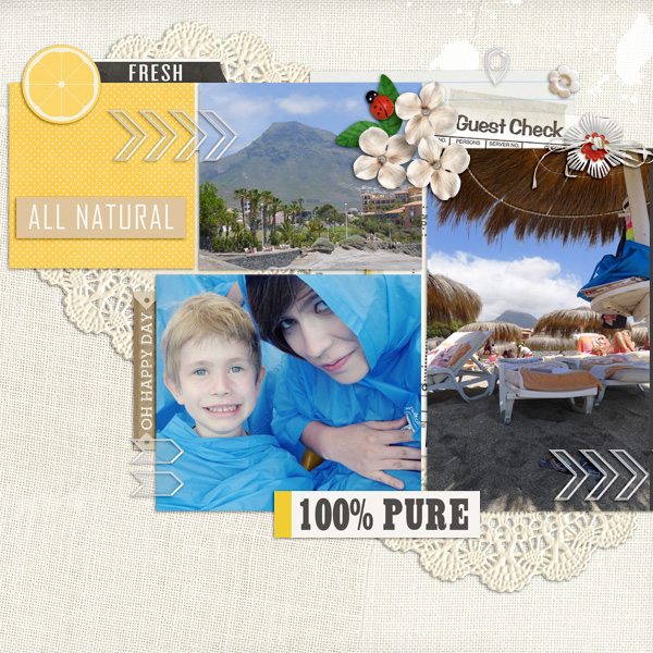 Digital Scrapbook page created by dul featuring "Acrylic: Arrows" by Sahlin Studio