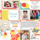 Project Life layout by Tronesia using Pure Happiness by Sahlin Studio