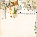 Digital scrapbook page by louso, using Year of Templates 13 by Sahlin Studio