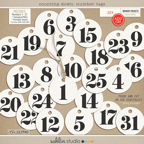 counting down: number tags by sahlin studio