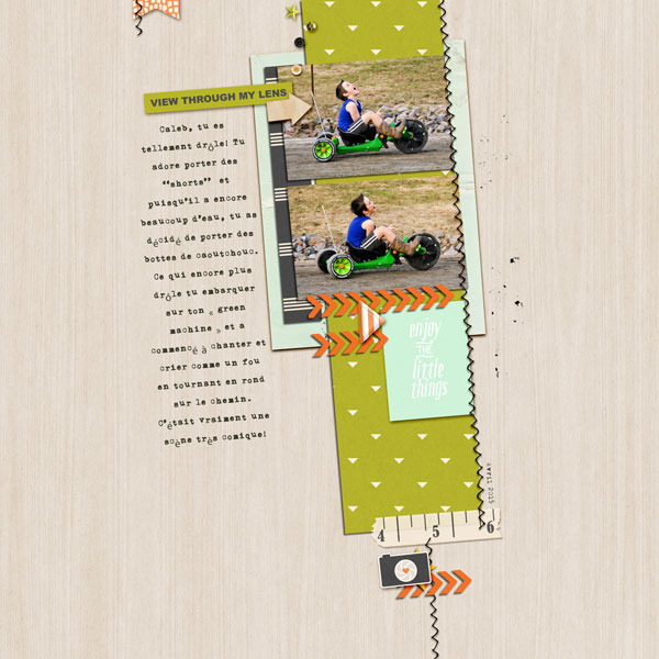 View Through My Lens digital scrapbooking page by renee82 using Viewpoint (Kit) by Sahlin Studio by Sahlin Studio - AddOn to Memory Pocket Monthly MPM Subscription