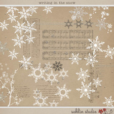 Writing in the Snow by Sahlin Studio