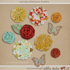 Autumn Afternoon: Flowers by Precocious Paper and Sahlin Studio