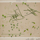 Whispers: Nature by Sahlin Studio
