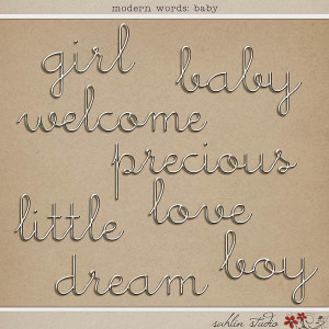Modern Words: Baby by Sahlin Studio