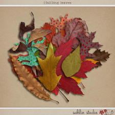 (Fall)ing Leaves by Sahlin Studio