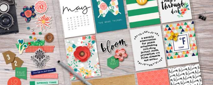 Memory Pockets Monthly (MPM) Kit & Journal Cards Subscription | BLOOM at the LilyPad - Perfect for Project Life albums!!