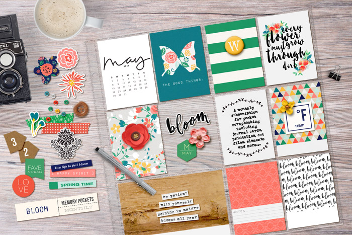 Memory Pockets Monthly (MPM) Kit & Journal Cards Subscription | BLOOM at the LilyPad - Perfect for Project Life albums!!