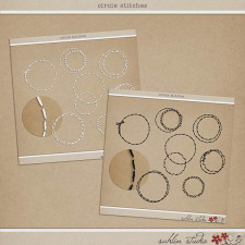 Circle Stitches by Sahlin Studio