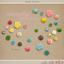 Candy Flowers by Sahlin Studio