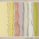 Vintage Worn and Torn Papers by Sahlin Studio