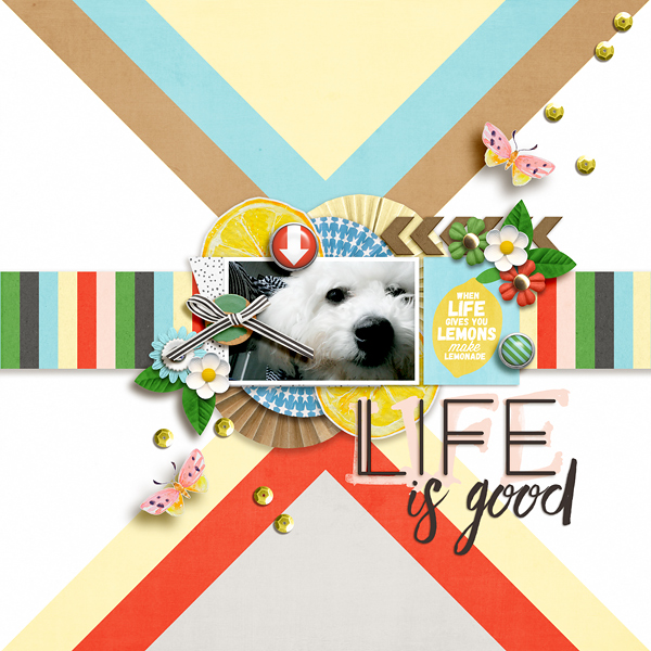 Life Is Good digital scrapbooking page by EllenT using  Highs and Lows by Sahlin Studio 