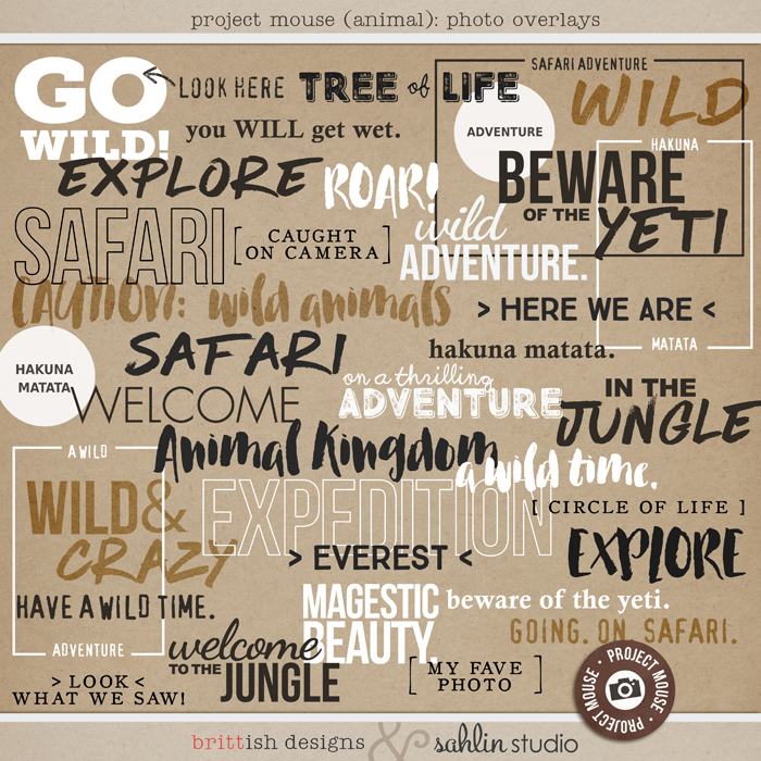 Project Mouse: Animal Photo Overlays Word Art  by Britt-ish Designs and Sahlin Studio -  Perfect for documenting Project Life for Animal Kingdom, safari, 