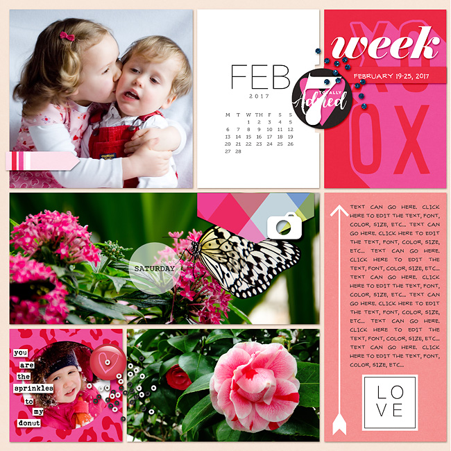 February digital Project Life scrapbooking page using Photo Rounds - Days Weeks by Sahlin Studio and MPM Memory Pocket Monthly Collection