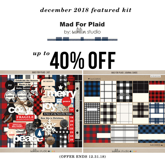 Mad for Plaid by Sahlin Studio