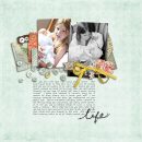 Life New Baby digital scrapbooking layout featuring Jan FREE Template by Sahlin Studio