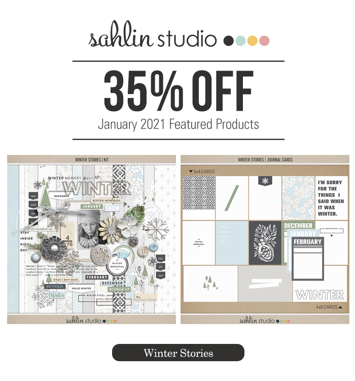 Winter Stories by Sahlin Studio