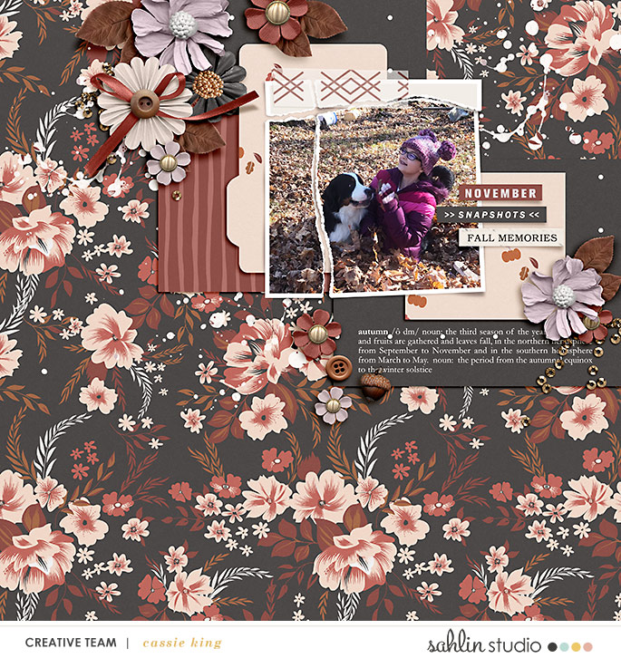 digital scrapbooking layout created by cassie king featuring Autumn Stories by Sahlin Studio