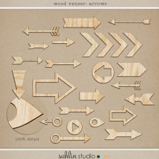 wood veneer: arrows by sahlin studio
