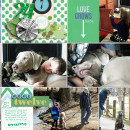 Digital Project Life page created by RebeccaH featuring "Down the Lane" by Sahlin Studio-2