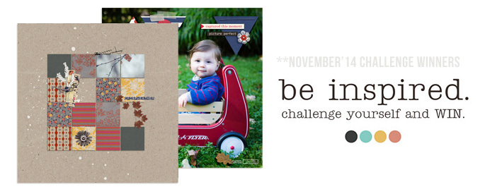 november 2014 challenge winners