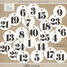 Counting Down: Number Tags by Sahlin Studio
