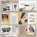 Real Life digital pocket scrapbooking page by FarrahJobling using The Everyday Routine by Sahlin Studio