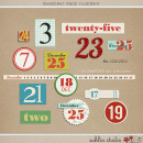 December Daily Numbers by Sahlin Studio