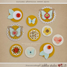 Autumn Afternoon: Sweet Spots by Precocious Paper and Sahlin Studio