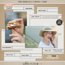 Photo Journal No. 3 by Sahlin Studio